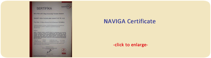 Saadet NAVIGA Certificate